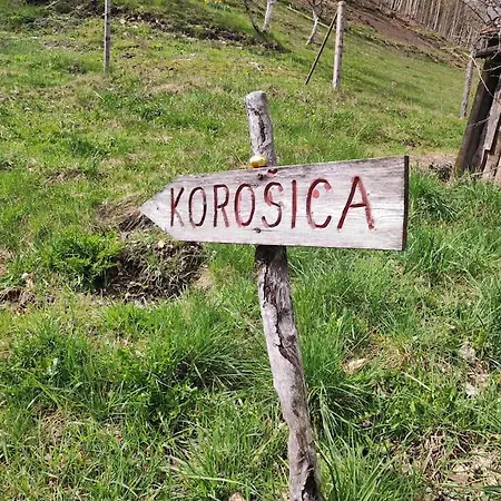 Apartma Discovering Slovenia * Luče