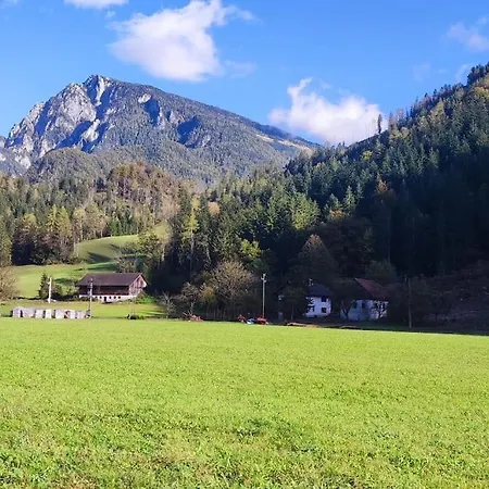 Apartma Discovering Slovenia Apartment