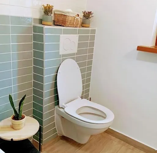 Daire Apartma Discovering Slovenia Luče