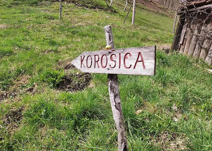 Apartma Discovering Slovenia * Luče